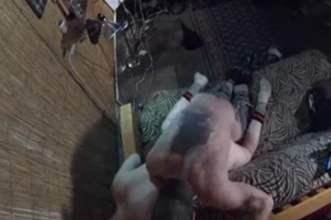 Followed The Treasure Trail, Found The wazoo - Damon Doggs sex sperm Factory