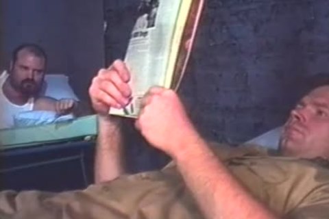 concupiscent Bear Prisoners bang And suck