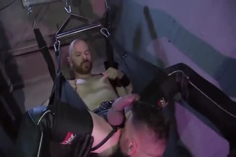 DW - perverted Playrooms UK Edition