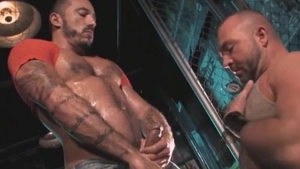 Mature gets a buzz out of raw fucking