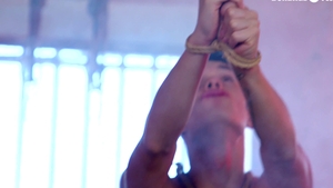Whipping Through Twink Haven