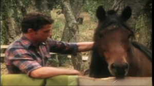 Falcon Studios: Bareback Bronc Buddies
