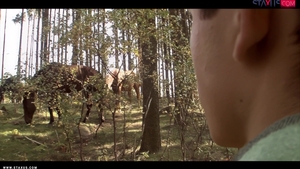 Exposing the Wild Side: A Deep Dive into Hidden Passions