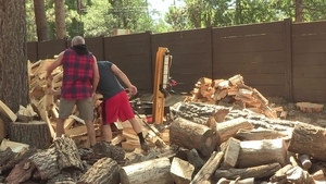 Family Dick: Wet and Wild Wood Chopping Lesson