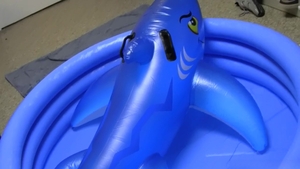 Dick Dorm: Swimming in Sinful Surprises